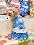 画像5: ツーウェイ☆ブルーハート柄ガーリーワンピ・４号