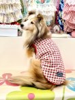 画像4: レースコットン☆ギンガム柄タンク（レッド）・７号
