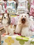 画像3: レースコットン☆ギンガム柄ガーリーワンピ（レッド）・７号