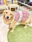画像12: レースコットン☆ギンガム柄スーパーガーリーワンピ（レッド）・７号