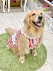 画像8: レースコットン☆ギンガム柄ガーリーワンピ（レッド）・７号