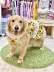 画像10: ツーウェイ☆ひまわり柄ガーリーワンピ・４号