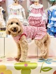画像6: レースコットン☆ギンガム柄フェミニンワンピ（レッド）・７号