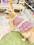 画像11: レースコットン☆ギンガム柄スーパーガーリーワンピ（レッド）・７号