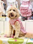 画像5: レースコットン☆ギンガム柄フェミニンワンピ（レッド）・７号
