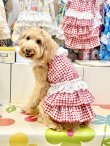 画像8: レースコットン☆ギンガム柄スーパーガーリーワンピ（レッド）・７号