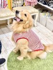 画像12: レースコットン☆ギンガム柄タンク（レッド）・７号