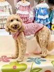 画像8: レースコットン☆ギンガム柄タンク（レッド）・７号