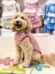 画像7: レースコットン☆ギンガム柄タンク（レッド）・７号