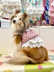 画像3: レースコットン☆ギンガム柄ガーリービスチェ（レッド）・７号