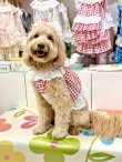 画像5: レースコットン☆ギンガム柄ガーリービスチェ（レッド）・７号