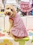 画像7: レースコットン☆ギンガム柄フェミニンワンピ（レッド）・７号