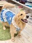 画像8: ツーウェイ☆ブルーハート柄ガーリーワンピ・４号