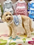 画像6: プチフルール柄キュートビスチェ（ブルー）・６号