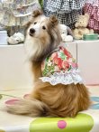 画像3: フルーツ柄キュートビスチェ（レッド）・６号