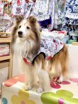 画像4: ツーウェイ☆グラフィティハート柄タンク・１０号