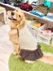 画像5: ツーウェイ☆ショコラドット柄フェミニンワンピ・８号