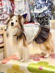 画像8: ツーウェイ☆ショコラドット柄フェミニンワンピ・８号