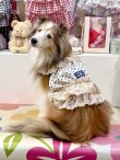 画像5: ツーウェイ☆ショコラドット柄ガーリービスチェ・８号