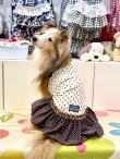 画像7: ツーウェイ☆ショコラドット柄フェミニンワンピ・８号