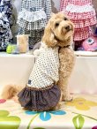 画像12: ツーウェイ☆ショコラドット柄フェミニンワンピ・８号