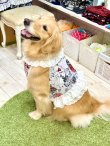 画像3: ツーウェイ☆グラフィティハート柄ガーリービスチェ・８号