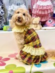画像7: イエロータータン☆レース付きガーリーワンピ・６号