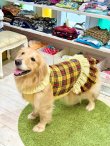 画像11: イエロータータン☆レース付きガーリーワンピ・６号