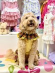画像6: イエロータータン☆共布２段ガーリーワンピ・２号