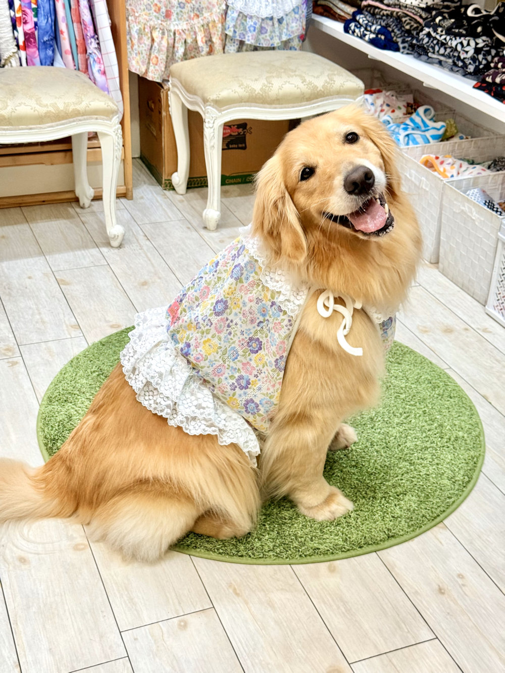 画像: カラミドビー☆フルールビスチェ(ミックス)・６号