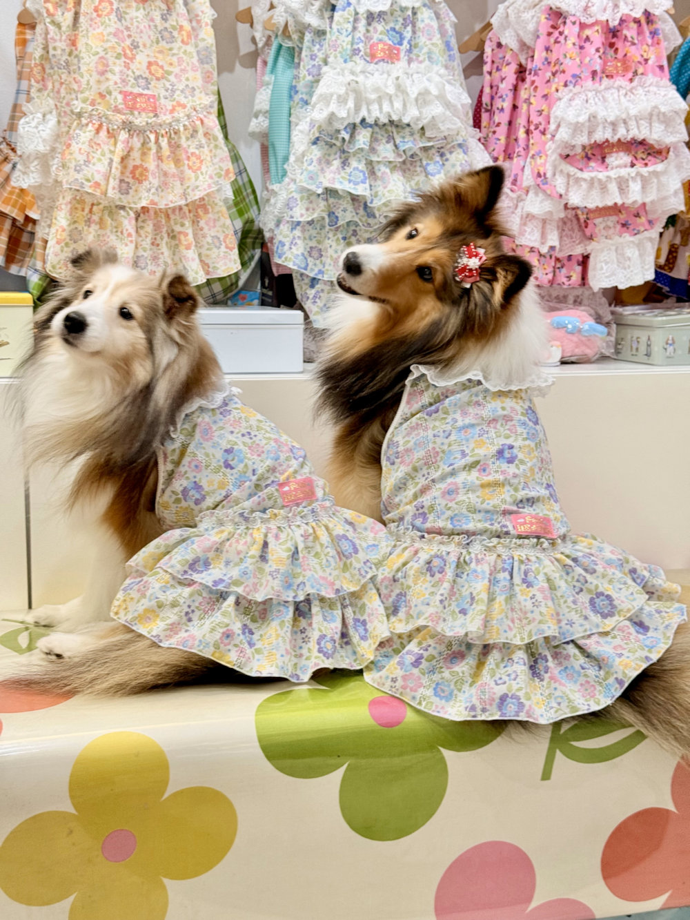 画像: カラミドビー☆フルールワンピ(ミックス)・６号