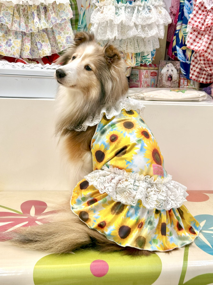 画像: ツーウェイ☆ひまわり柄ガーリーワンピ・４号