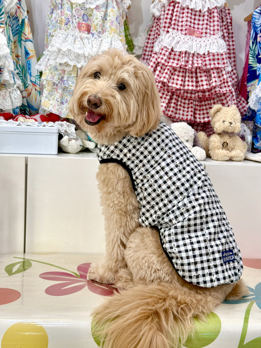 画像: レースコットン☆ギンガム柄タンク（ブラック）・９号