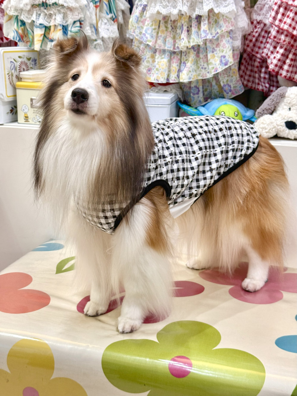 画像2: レースコットン☆ギンガム柄タンク（ブラック）・９号