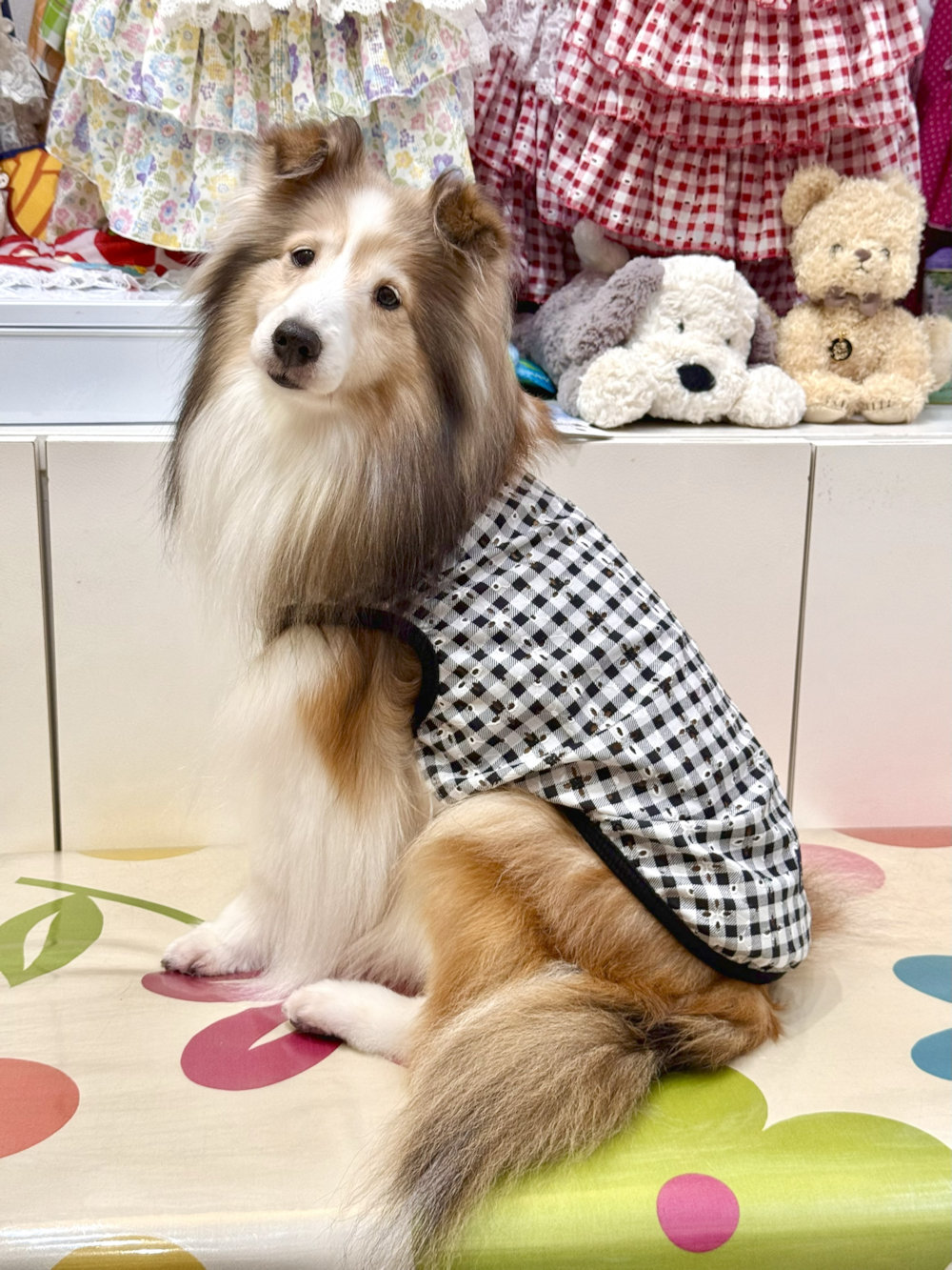 画像3: レースコットン☆ギンガム柄タンク（ブラック）・９号