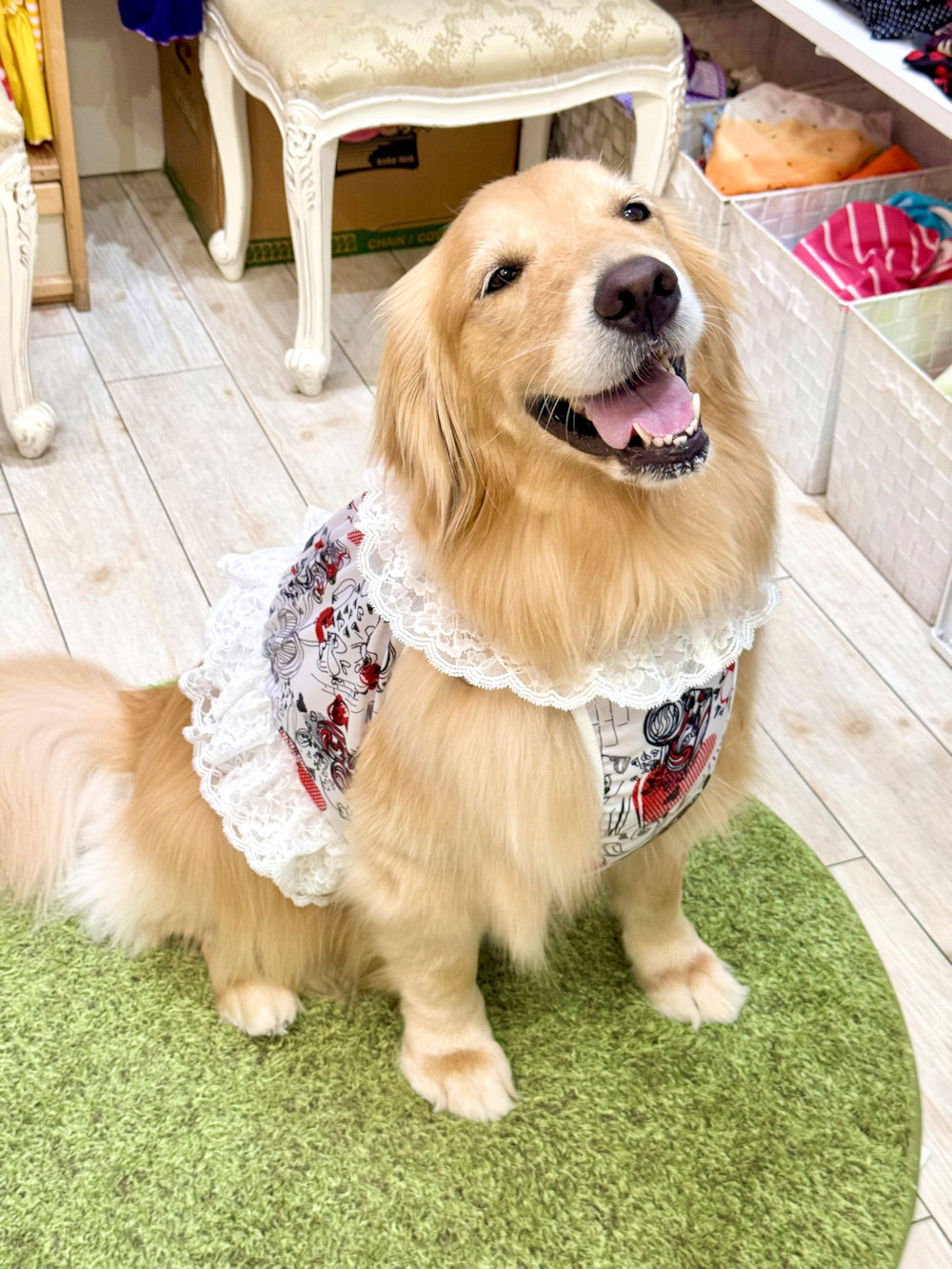 画像8: ツーウェイ☆グラフィティハート柄ガーリービスチェ・７号