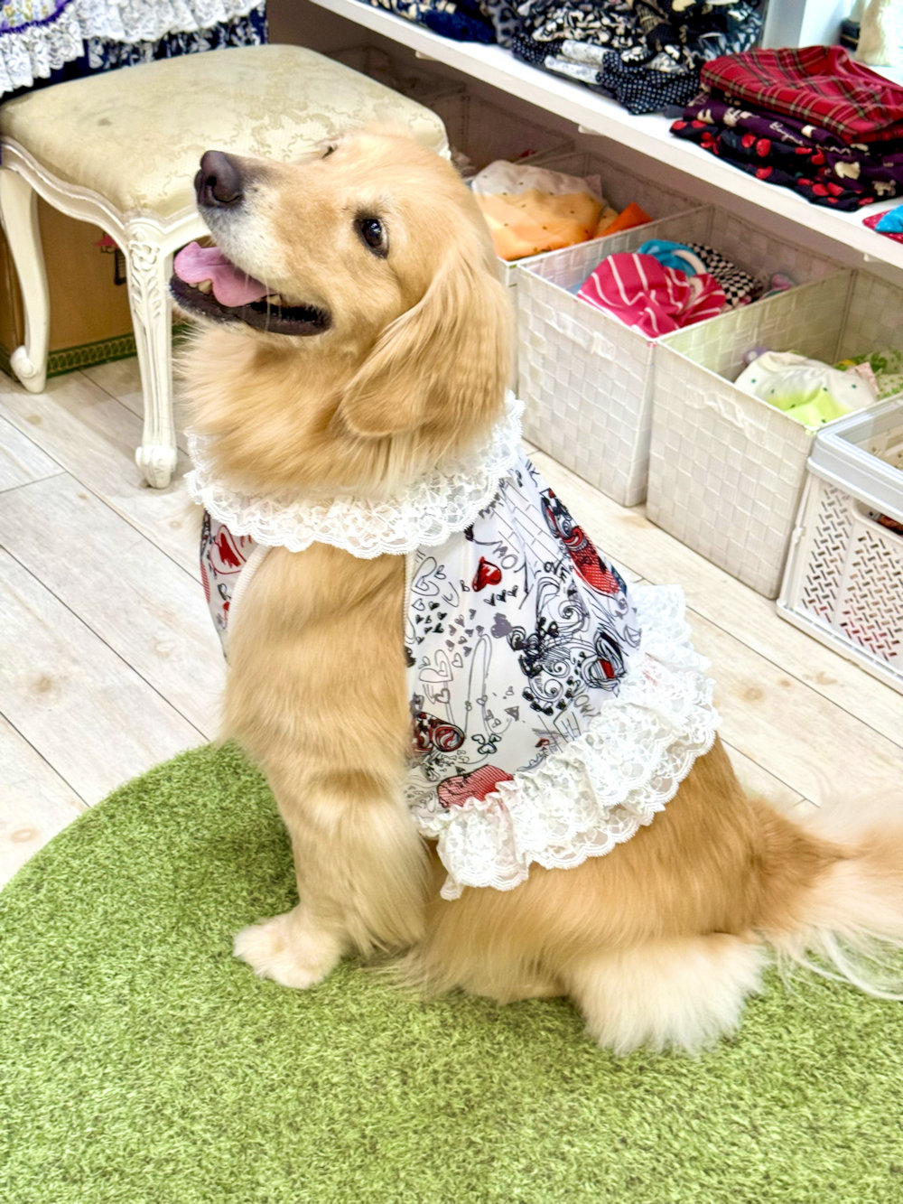 画像9: ツーウェイ☆グラフィティハート柄ガーリービスチェ・７号