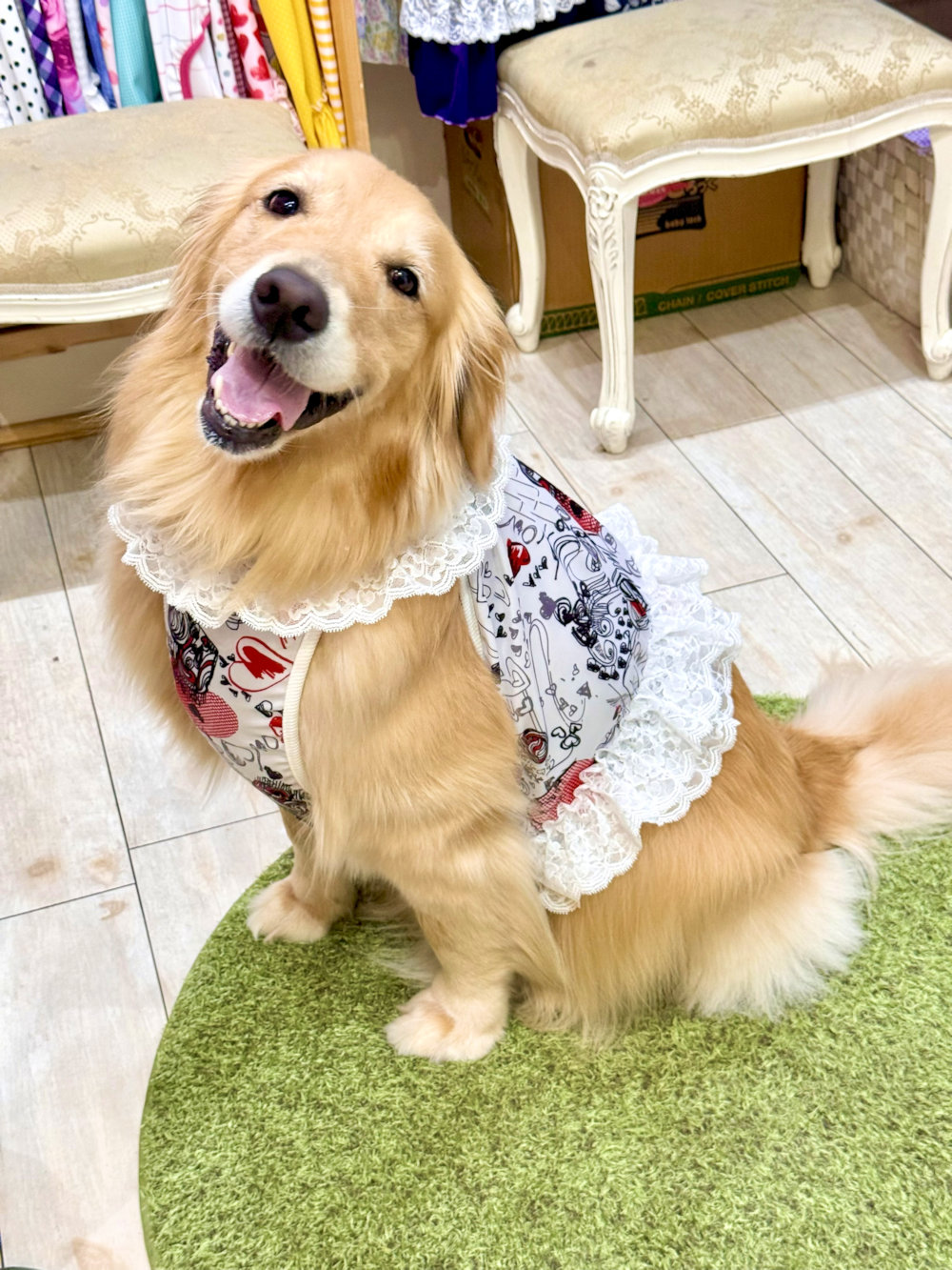 画像10: ツーウェイ☆グラフィティハート柄ガーリービスチェ・７号