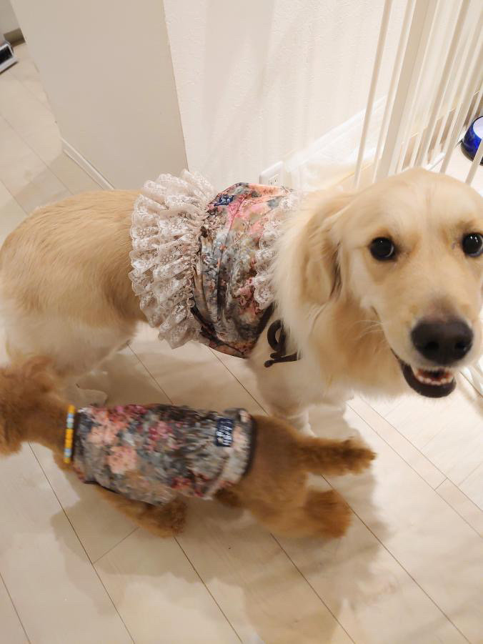 画像6: ツーウェイ☆ガーデンテラス柄ガーリービスチェ（ブラウン）・８号