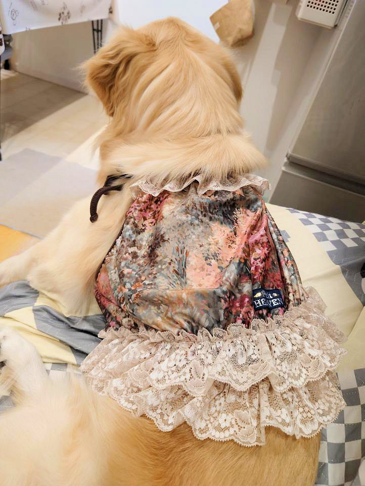 画像: ツーウェイ☆ガーデンテラス柄ガーリービスチェ（ブラウン）・８号