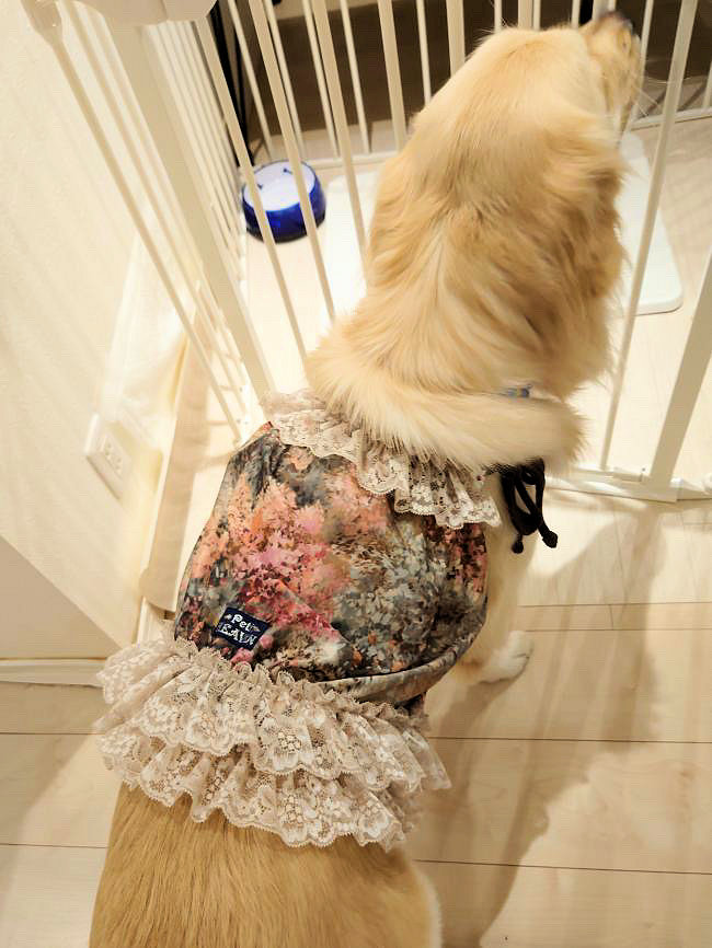 画像5: ツーウェイ☆ガーデンテラス柄ガーリービスチェ（ブラウン）・８号