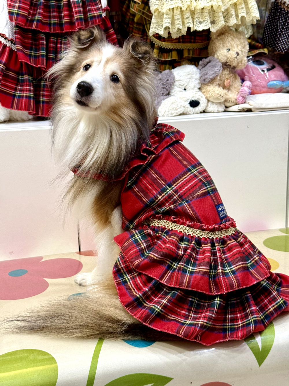 画像3: レッドタータン☆共布２段ガーリーワンピ・７号