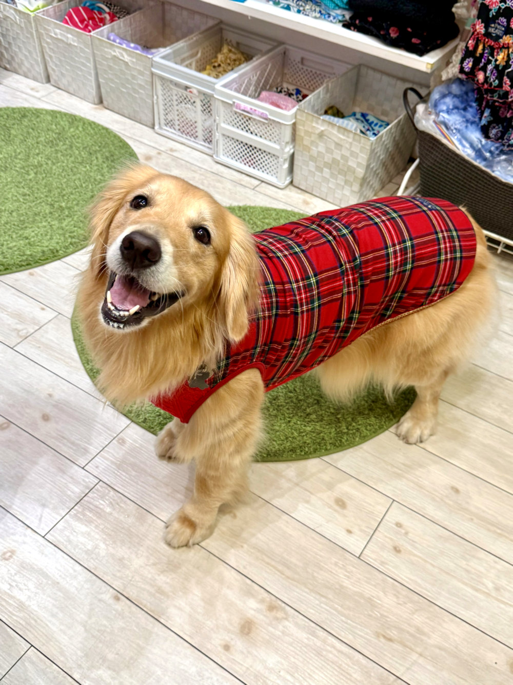 画像6: レッドタータン☆タンク・６号