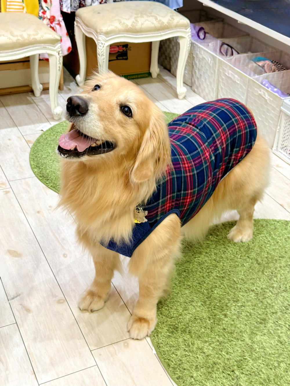 画像7: ネイビータータン☆タンク・８号