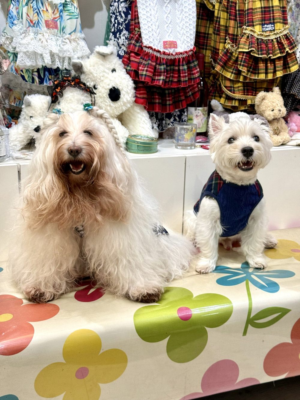 画像3: ネイビータータン☆タンク・８号