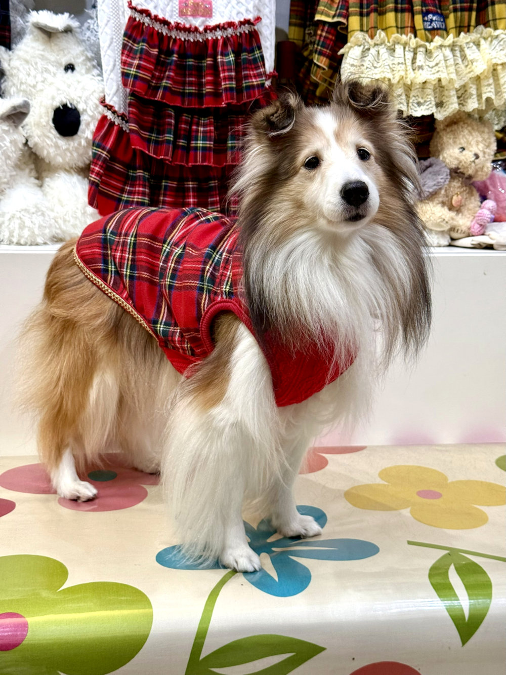 画像2: レッドタータン☆タンク・６号