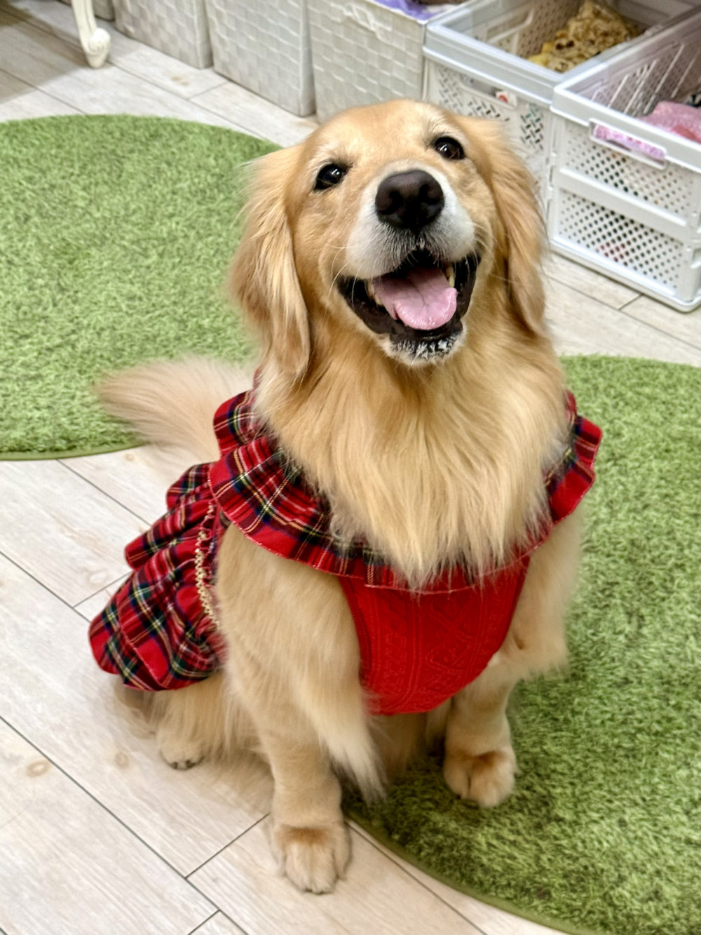 画像6: レッドタータン☆共布２段ガーリーワンピ・７号