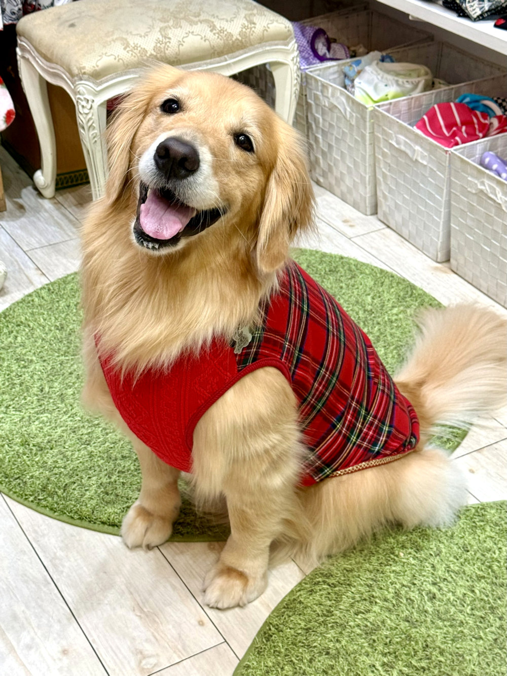 画像5: レッドタータン☆タンク・６号