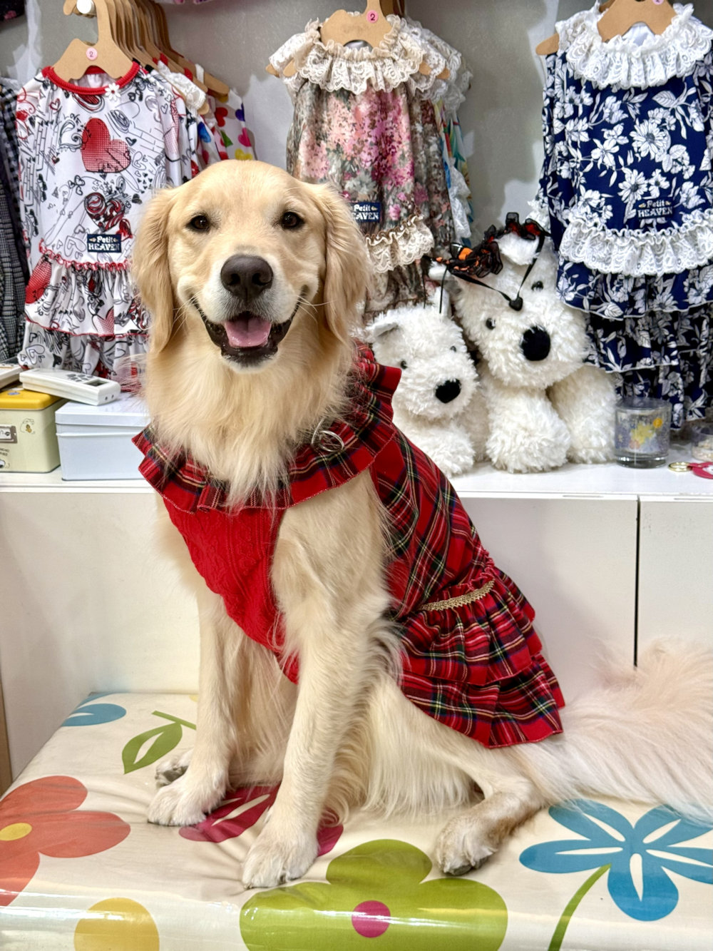 画像5: レッドタータン☆共布２段ガーリーワンピ・７号