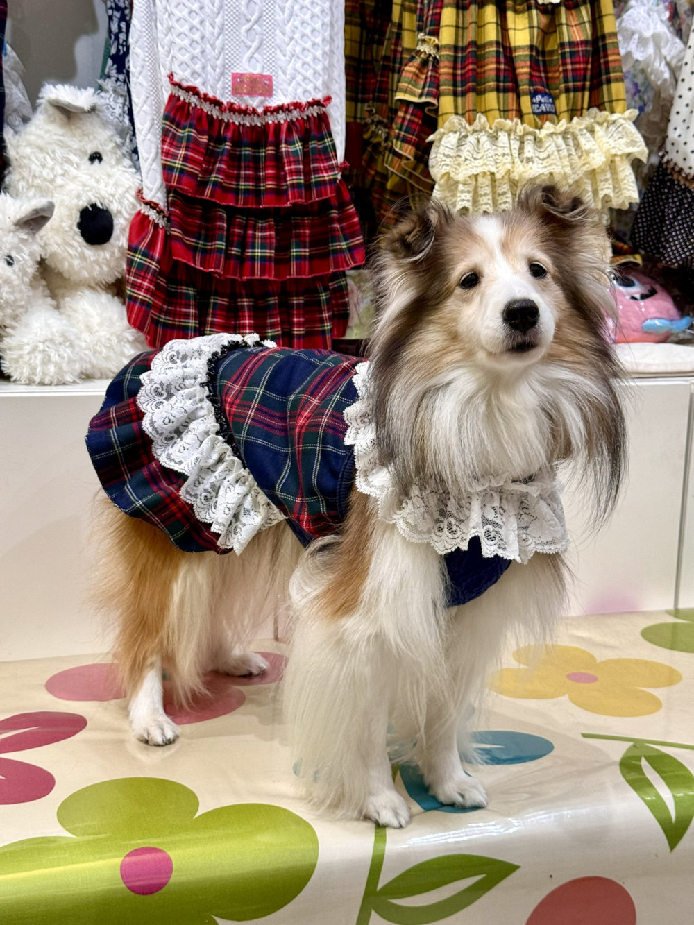 画像3: ネイビータータン☆レース付きガーリーワンピ・３号